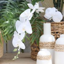 položky Bílá umělá orchidej Phalaenopsis Real Touch V83cm