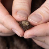 položky Nadýchaná vlněná šňůra Mirabell, hnědá, 25m, dekorativní stuha pro květinářství a tvoření