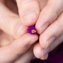 položky Vlněná šňůra, fialová, 55m dekorativní provázek pro květinářství a tvoření