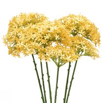 položky Okrasná cibule Wild Allium umělá žlutá 70cm 3 ks