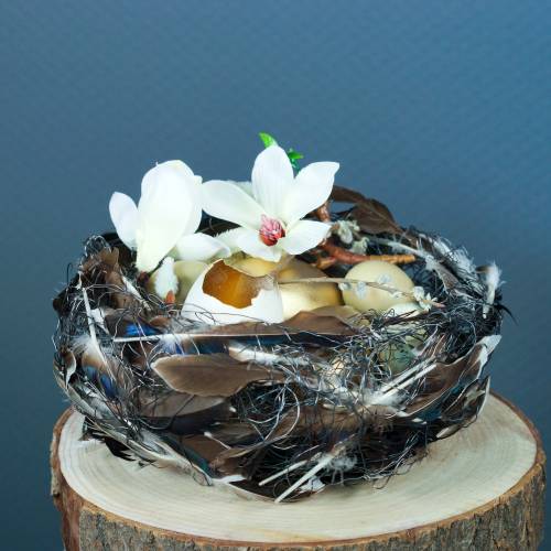 Floristik24 Magnolie bílá 51cm 3ks