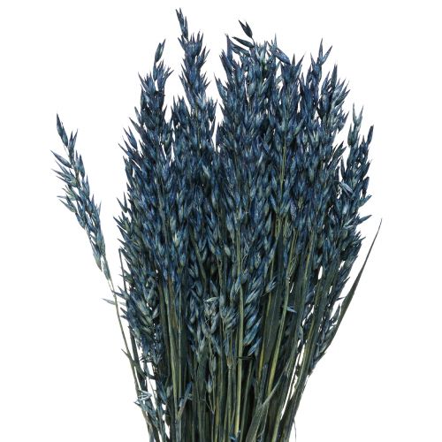 položky Sušené květiny, oves sušené zrno dekorace modrá 68cm 230g
