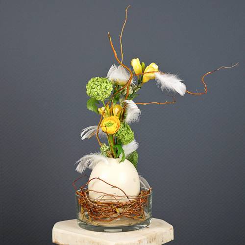 Pštrosí vejce příroda foukané prázdné dekorace
