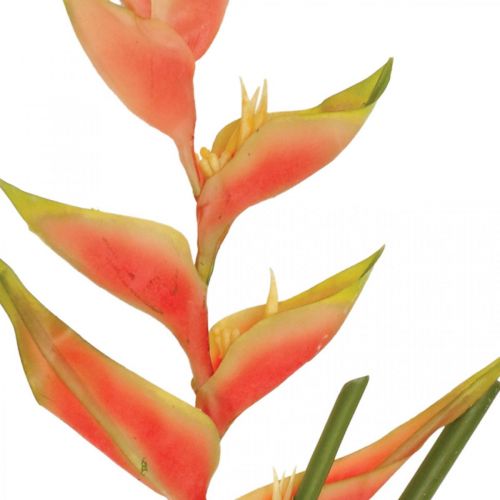 položky Umělé umělé květiny Heliconia exotická růžová, zelená H103cm
