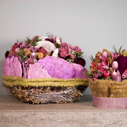 Floristik24 Polštářový mech, liána 25cm x 25cm