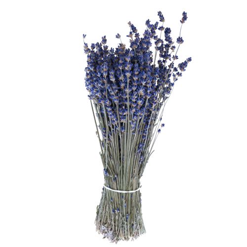 položky Sušená levandulová kytice sušená květina modrá 25cm 75g