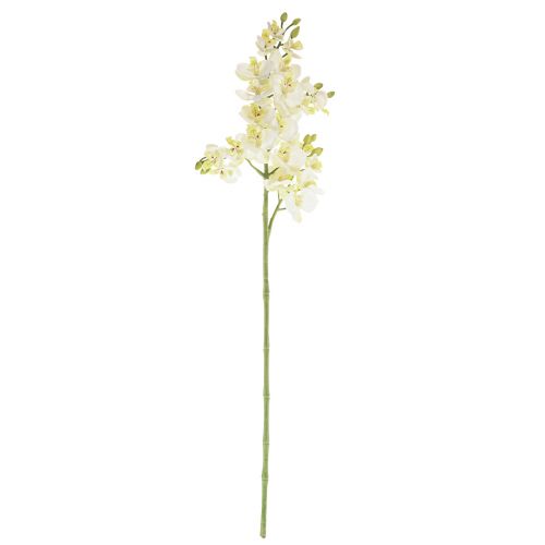 Floristik24 Phalaenopsis Umělé Orchideje Umělé Květiny Bílé 70cm