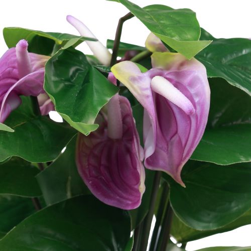 Floristik24 Umělé květiny umělé anthurium umělé rostliny v květináči 41cm