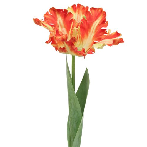 Floristik24 Umělý květ papoušek tulipán umělý tulipán oranžový 69cm