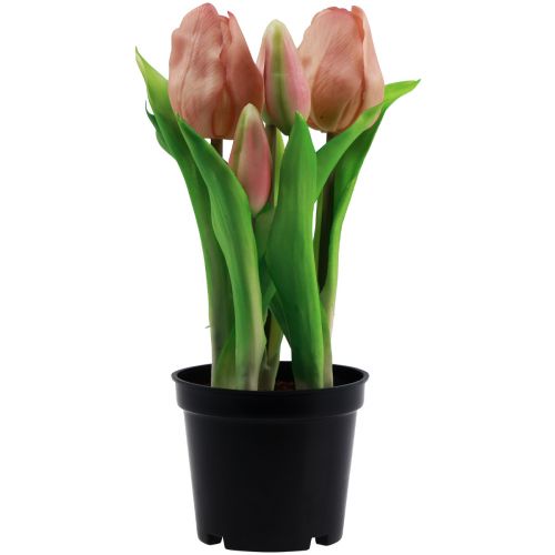 Floristik24 Umělé tulipány v květináči Tulipány Peach umělé květiny 22cm