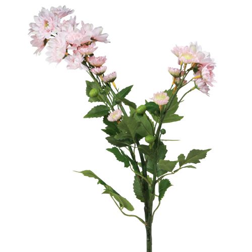 Floristik24 Umělé květiny Umělé astry Hedvábné květiny růžové 80cm