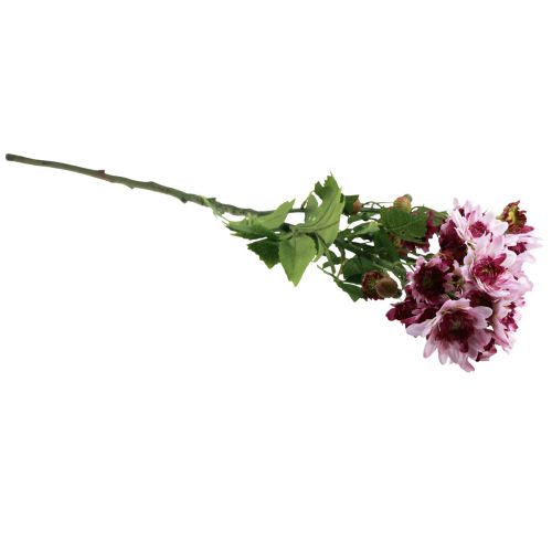 položky Umělé květiny Umělé astry Hedvábné květiny fialové 80cm