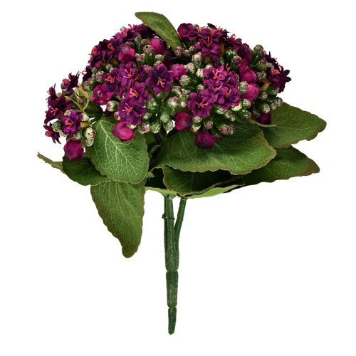 položky Flaming Käthchen Kalanchoe umělá fialová 24cm