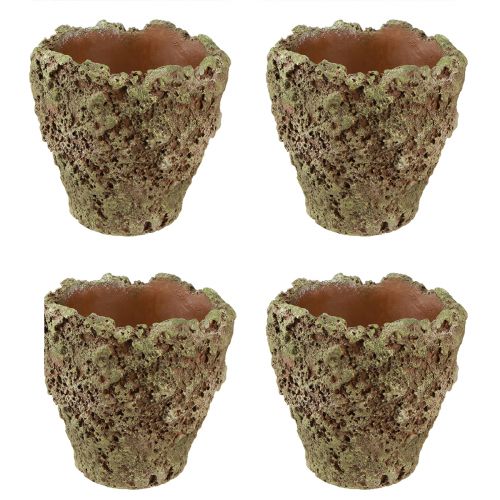 položky Květináč rustikální květináč mechový vzhled Ø17cm V16,5cm 4ks
