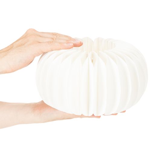 Papírový kroužek s voštinovou dýní, kulatý, velký, na sušené květiny a podzimní dekoraci 24cm, 4 ks | Floristik24.cz