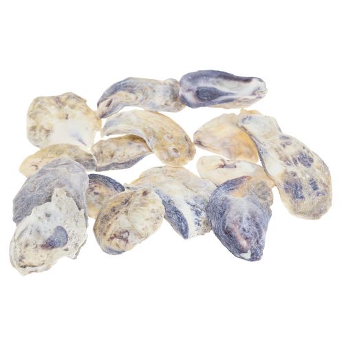 Floristik24 Deko mušle z ústřic dekorace přírodní 2-6cm 250g