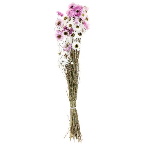 položky Sušené květy Bílé růžové slámové květy 40-45cm 30g