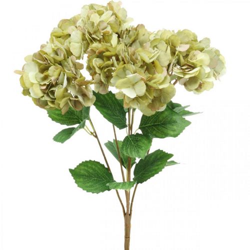 Floristik24 Kytice hortenzie umělá zelená, hnědá 5 květů 48cm