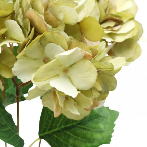 Floristik24 Kytice hortenzie umělá zelená, hnědá 5 květů 48cm
