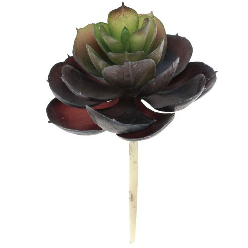 Sukulentní Echeveria Umělé zelené rostliny Ø7cm 12cm 6 ks
