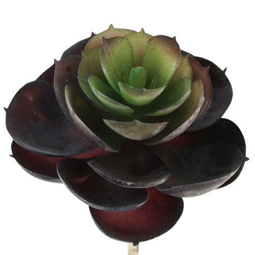 položky Sukulentní Echeveria Umělé zelené rostliny Ø7cm 12cm 6 ks