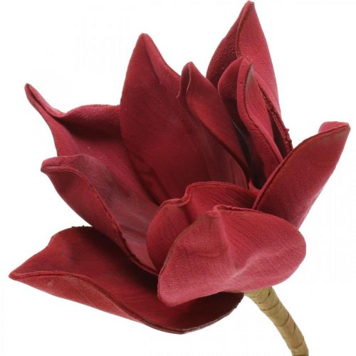 Magnolie umělá květina na špejli Ø10cm Pěna 6ks Různé barvy
