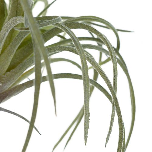 položky Tillandsia Sukulentní umělé zelené rostliny 13cm