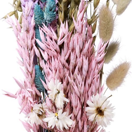 Floristik24 Sušená kytice slámových květů Phalaris grain 58cm