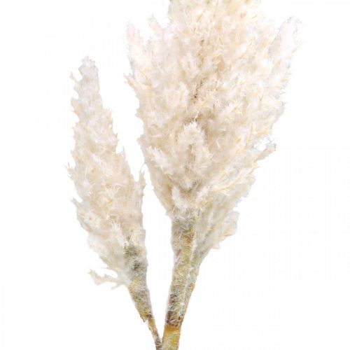 položky Pampas tráva bílá krémová dekorace z umělé suché trávy 82cm