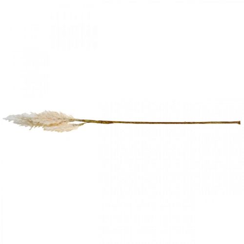 Floristik24 Pampas tráva bílá krémová dekorace z umělé suché trávy 82cm