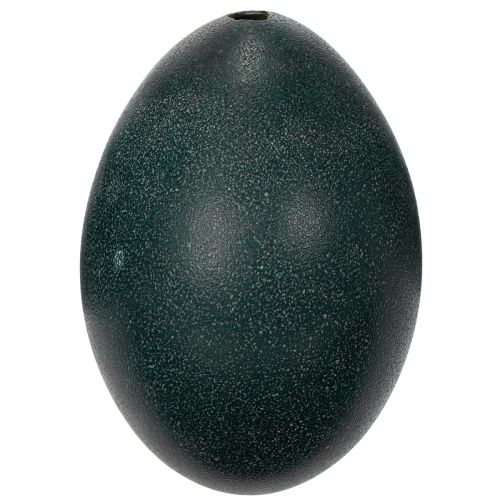 položky Dekorace Emuei pro sváteční výzdobu domova a stylové akcenty na Velikonoce