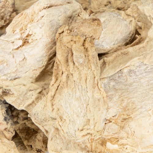 položky Dekorace ze sušeného zázvoru Přírodní dekorace 500g