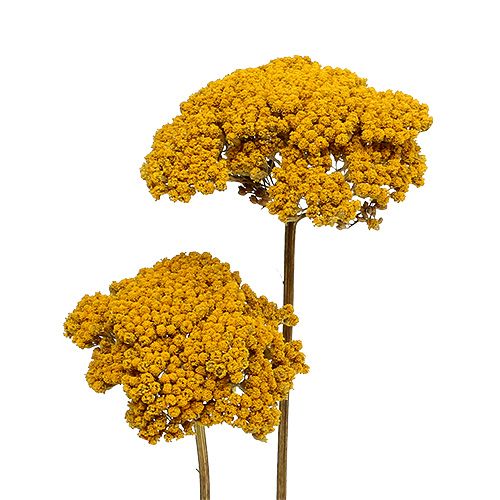 Achillea 1kg přírodní