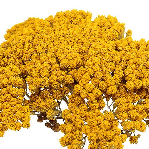 položky Achillea 1kg přírodní