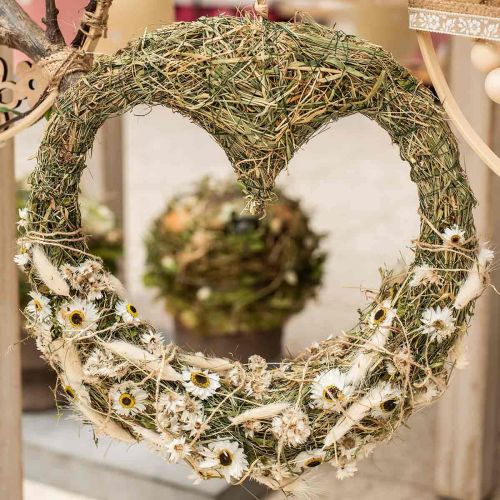 Floristik24 Acroclinium White, suché rostliny, slaměné květiny, suché květinářství L20–40cm 25g