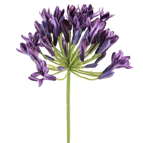 Floristik24 Umělé květiny agapanthus fialová dekorace lilie 75cm 2ks