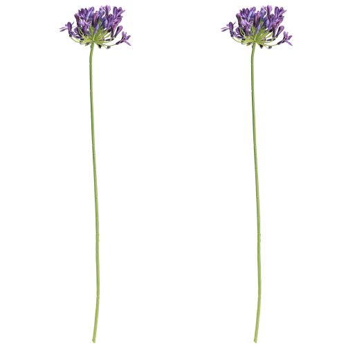 položky Umělé květiny agapanthus fialová dekorace lilie 75cm 2ks