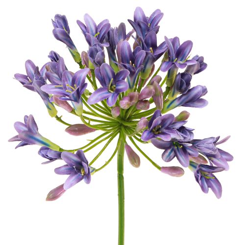 položky Agapanthus African Lily Umělé květiny Fialová L75cm 2ks