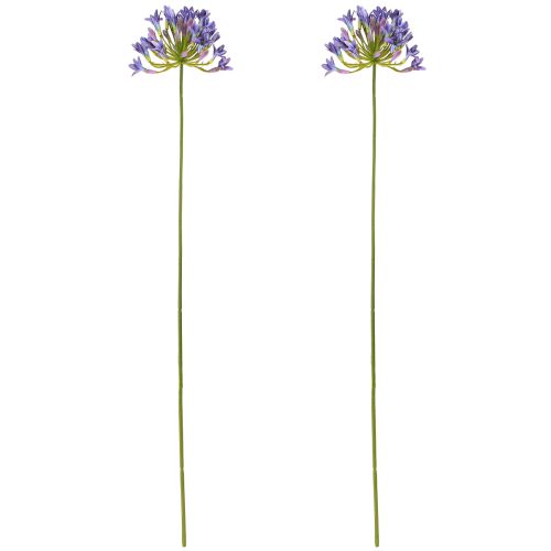 položky Agapanthus African Lily Umělé květiny Fialová L75cm 2ks