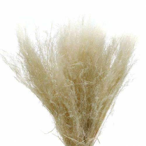 položky Suchá tráva Agrostis bělená 40g