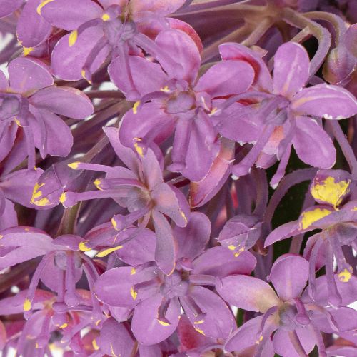 položky Umělý květ česneku, okrasná cibule, elegantní dekorace do pokoje, 90 cm