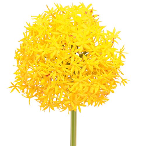 položky Allium žlutý květ umělá cibule 80cm Ø14,5cm 2ks