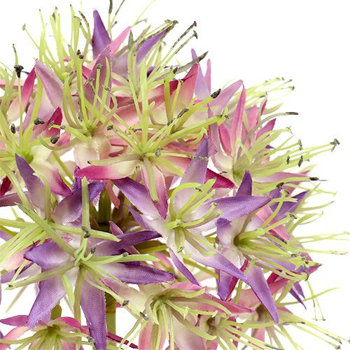 položky Allium světle fialová L76cm