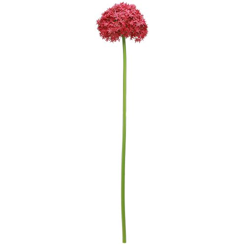 položky Allium in Bordeaux umělý okrasný česnek Ø18cm L90cm