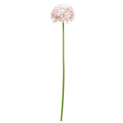položky Allium s růžovými květy umělá cibule Ø18cm L90cm