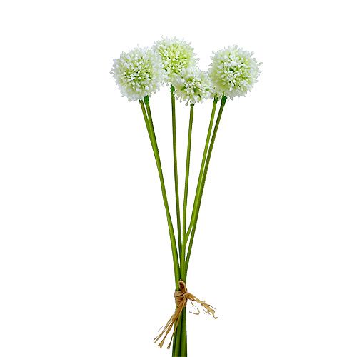 Floristik24 Allium 35cm bílá 6ks