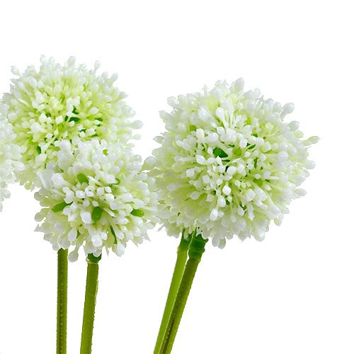 Floristik24 Allium 35cm bílá 6ks
