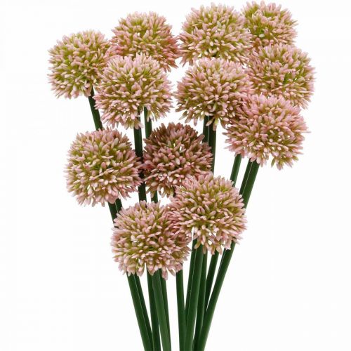 Floristik24 Umělá květina allium růžová 38cm umělá okrasná cibule hedvábná květina v svazku 12ks