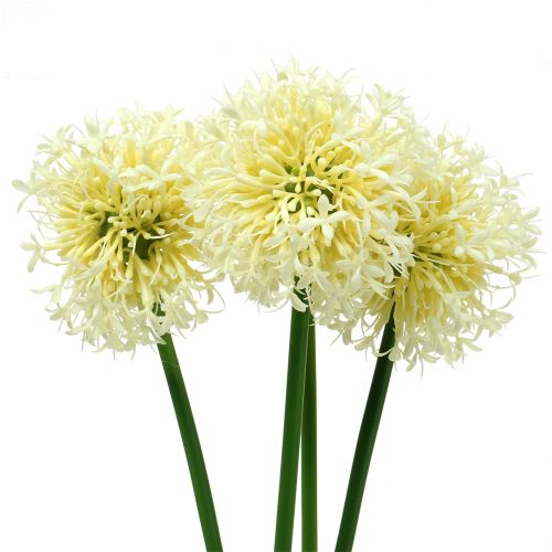 Floristik24 Cibule okrasná Allium umělá bílá 51cm 4ks