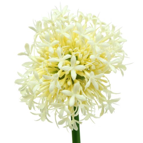 Floristik24 Cibule okrasná Allium umělá bílá 51cm 4ks